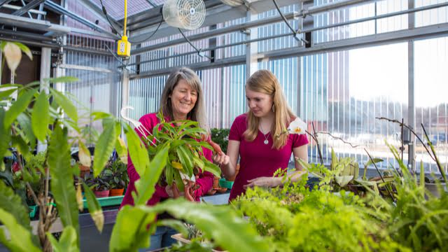 Biology-Ecological Science